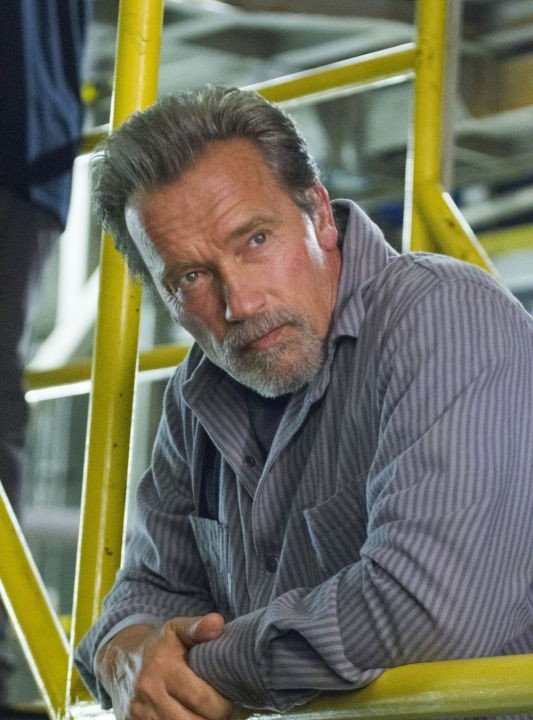 Un ritratto di Arnold Schwarzenegger