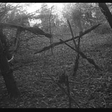 Blair Witch Project - una sequenza del film