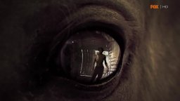 Teaser 'Eye of the Horse' - The Walking Dead, stagione 4