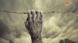 Teaser 'Holding On' - The Walking Dead, stagione 4