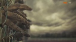 Teaser 'Want Blood' - The Walking Dead, stagione 4