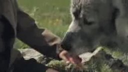 Teaser Trailer - Belle et Sébastien