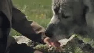 Teaser Trailer - Belle et Sébastien