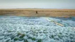 Trailer - African Safari 3D