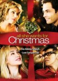 La fabbrica del Natale: la locandina del film