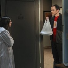 The Big Bang Theory: Jim Parsons e Mayim Bialik in una foto di scena dell'episodio The Workplace Proximity