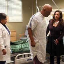 Grey's Anatomy: Debbie Allen, Chandra Wilson e James Pickens in una scena dell'episodio I Bet It Stung