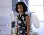 Agents of S.H.I.E.L.D.: commento all'episodio Girl in the Flower Dress