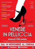 Venere in pelliccia: la locandina italiana