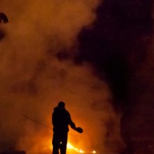 Cut down kite: un'immagine del film