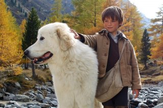 Belle & Sebastien: il piccolo Felix Bossuet è Sébastien insieme al suo cane Belle