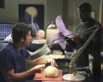 Grey's Anatomy: commento all'episodio 10x07, Thriller