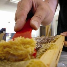 Il carattere italiano: un'immagine del documentario