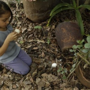 Manto Acuifero: la piccola Zaili Sofia Macias in un'immagine del film