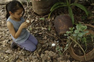 Manto Acuifero: la piccola Zaili Sofia Macias in un'immagine del film