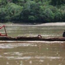 The Green Inferno: una spaventosa immagine del film
