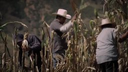 Trailer - Aquí y Allá