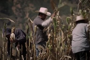 Trailer - Aquí y Allá