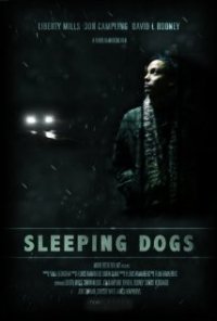 Locandina di Sleeping Dogs