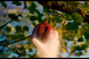 Trailer Italiano - Noah