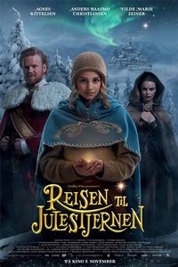 Locandina di Alla ricerca della stella del Natale