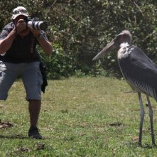 African Safari 3D: una foto dal set