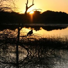 African Safari 3D: uno dei magnifici tramonti africani tratto dal film