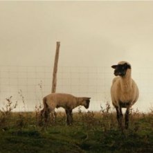 Le démantèlement: una scena tratta dal film