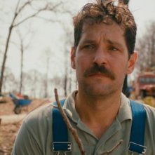 Prince Avalanche: Paul Rudd in una scena del film
