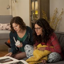 Enough Said: Julia Louis-Dreyfus in una scena con Tracey Fairaway