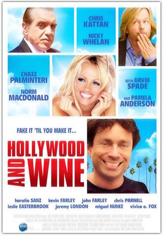 Hollywood & Wine: la locandina del film