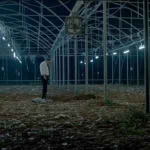 Big Bad Wolves: una scena