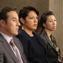 Grey's Anatomy: Currie Graham e Sara Ramirez nell'episodio Sorry Seems to Be the Hardest Word