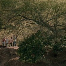 Qui e là: una scena naturalistica del film