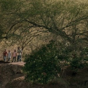 Qui e là: una scena naturalistica del film