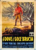 Là dove il sole brucia: la locandina del film