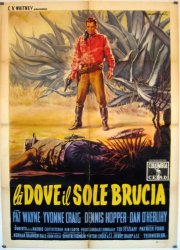 Là dove il sole brucia: la locandina del film