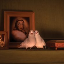 Il castello magico: due tenere colombe davanti ad alcune foto di famiglia