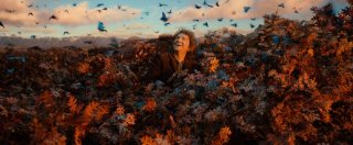 The Hobbit: The Desolation Of Smaug - Martin Freeman osserva meravigliato le farfalle dalla cima degli alberi