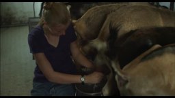 Trailer Sottotitolato - Stop the Pounding Heart