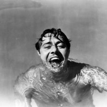 Una foto 'acquatica' di Don Ameche