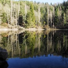 Neverlake: una scena del film