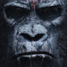 Dawn of the Planet of the Apes: teaser poster 3