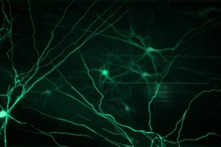 Teaser Trailer 1 - Transcendence