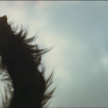 Una celebre scena di 2001: Odissea nello spazio (1968)