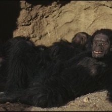 Una sequenza di 2001: Odissea nello spazio (1968) di Stanley Kubrick