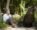 Il DVD di Ritorno all'isola di Nim
