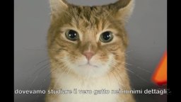 Intervista esclusiva extra DVD 'Neil Patrick Harris e Jayma Mays' - I Puffi 2