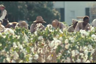 Trailer Italiano - 12 anni schiavo