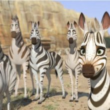 Khumba: la piccola zebra Khumba insieme al suo branco in una scena del film